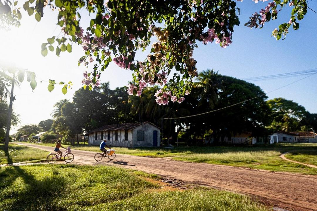 Pousada O Canto Do Frances Soure Exterior foto
